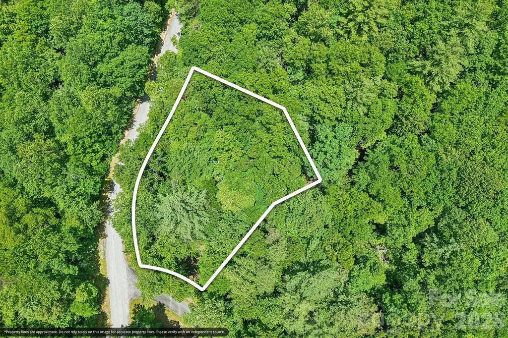 11 Magnolia Branch Drive Zirconia NC 28790