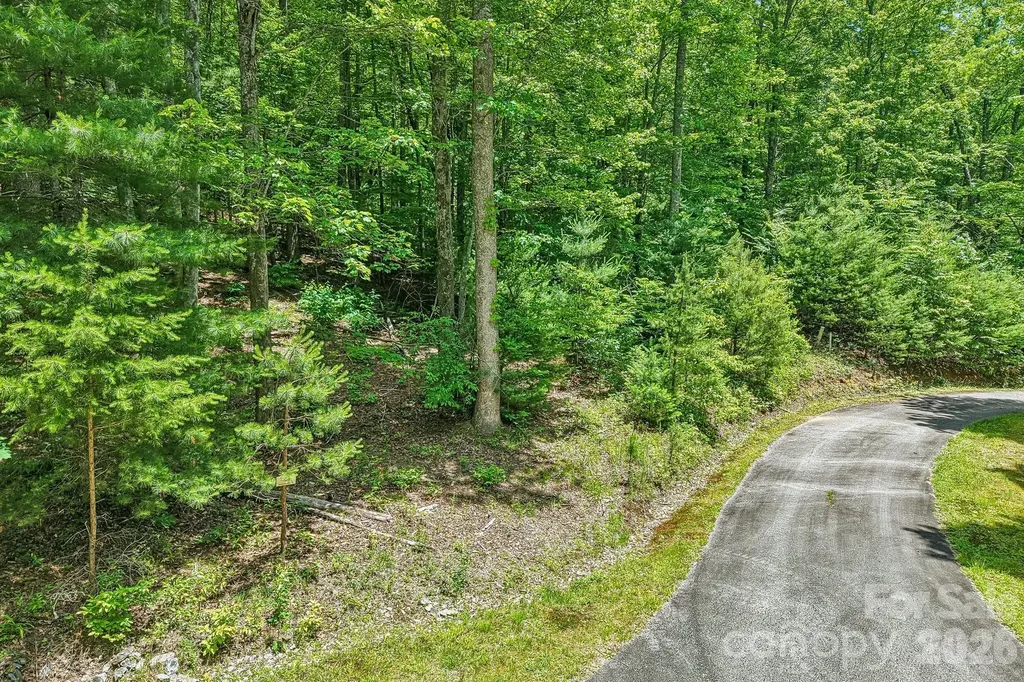 11 Magnolia Branch Drive Zirconia NC 28790