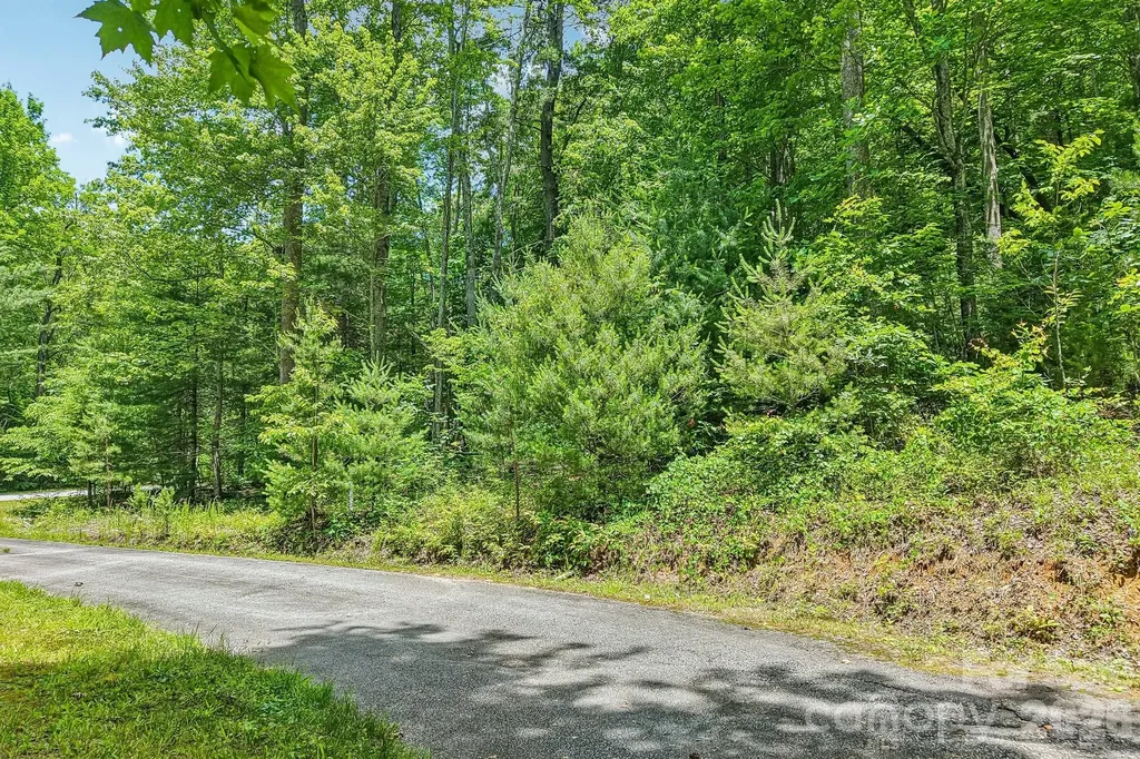 11 Magnolia Branch Drive Zirconia NC 28790