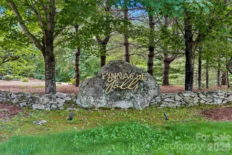 11 Magnolia Branch Drive Zirconia NC 28790