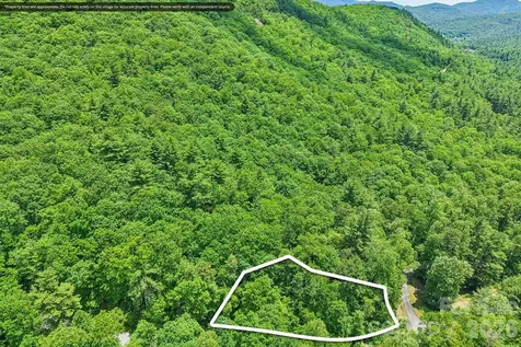 11 Magnolia Branch Drive Zirconia NC 28790