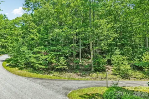 11 Magnolia Branch Drive Zirconia NC 28790