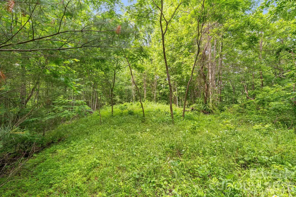 99999 Acorn Drive Marshall NC 28753