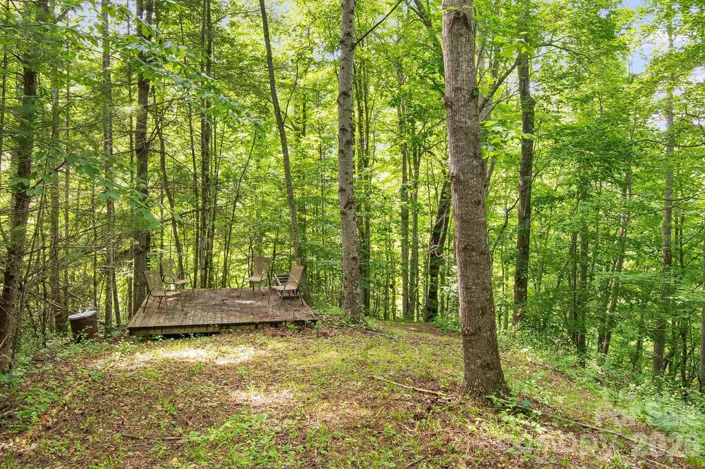 99999 Acorn Drive Marshall NC 28754