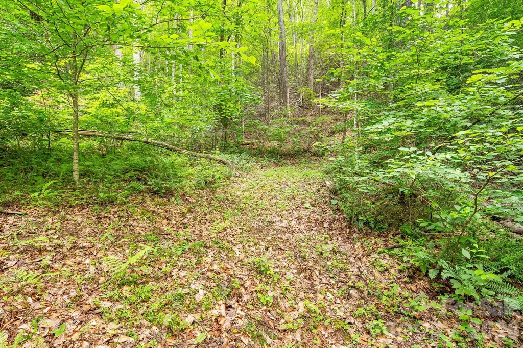 99999 Acorn Drive Marshall NC 28753