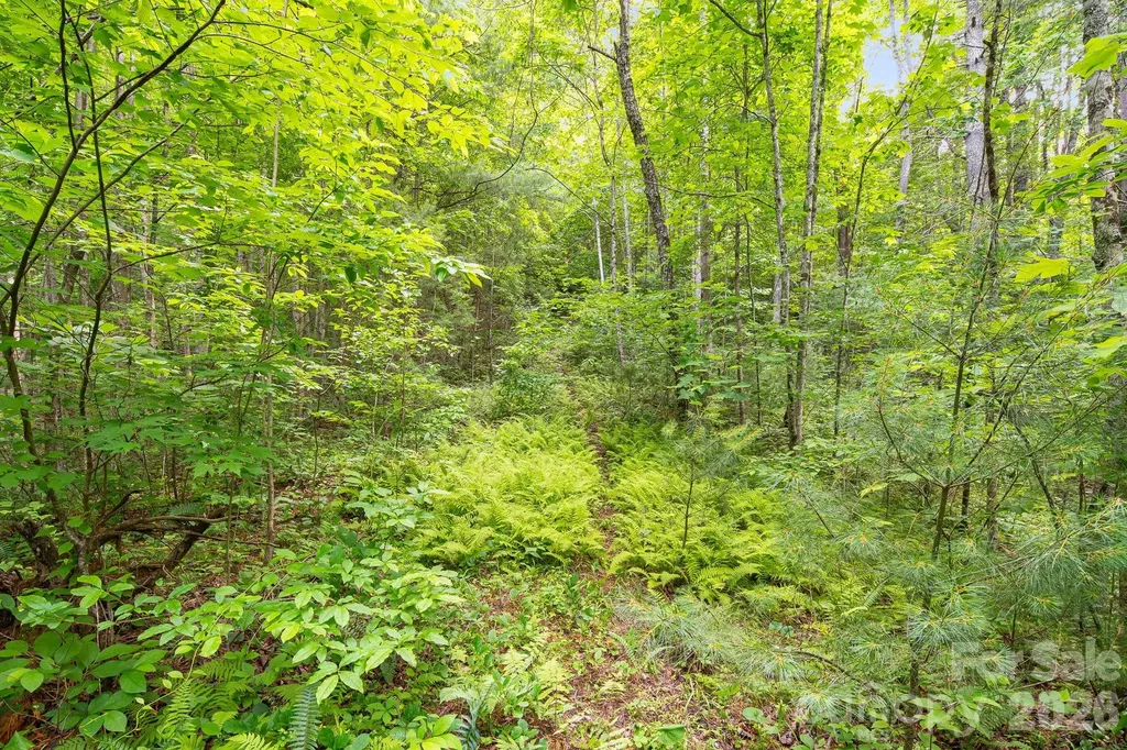 99999 Acorn Drive Marshall NC 28754