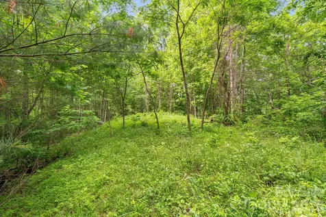 99999 Acorn Drive Marshall NC 28754