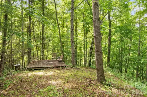 99999 Acorn Drive Marshall NC 28754