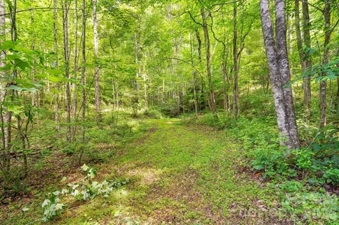 99999 Acorn Drive Marshall NC 28754