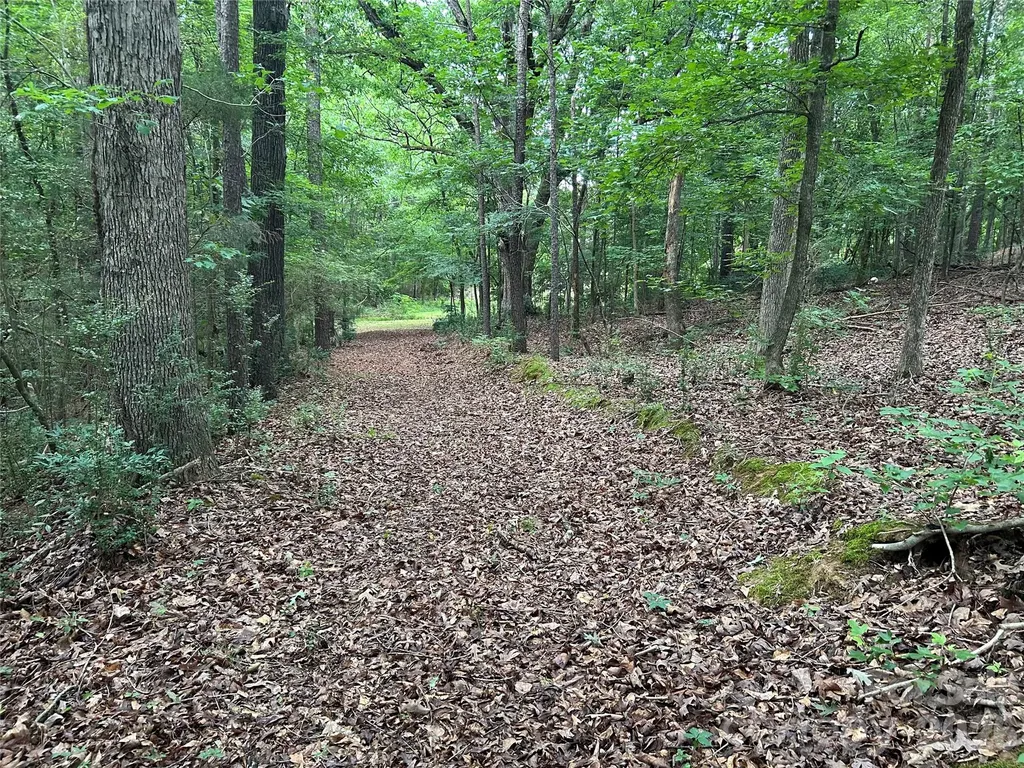 3909 Wightman Church Road Polkton NC 28135