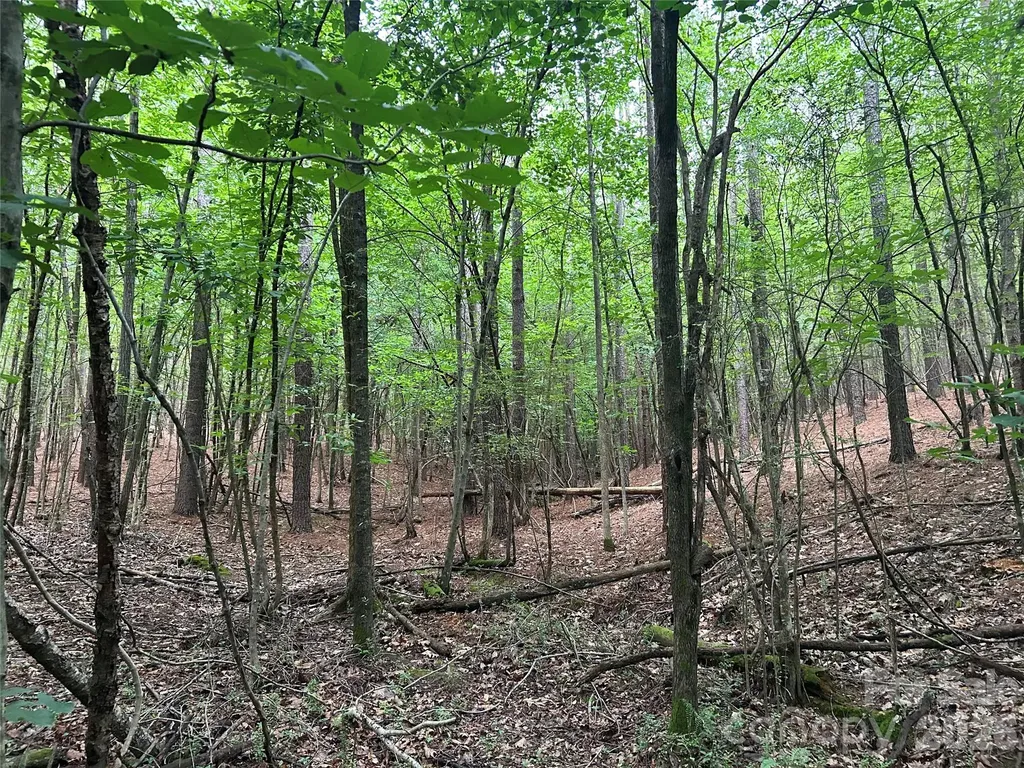 3909 Wightman Church Road Polkton NC 28135