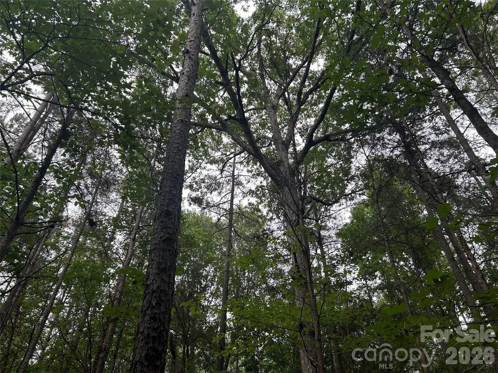 3909 Wightman Church Road Polkton NC 28135
