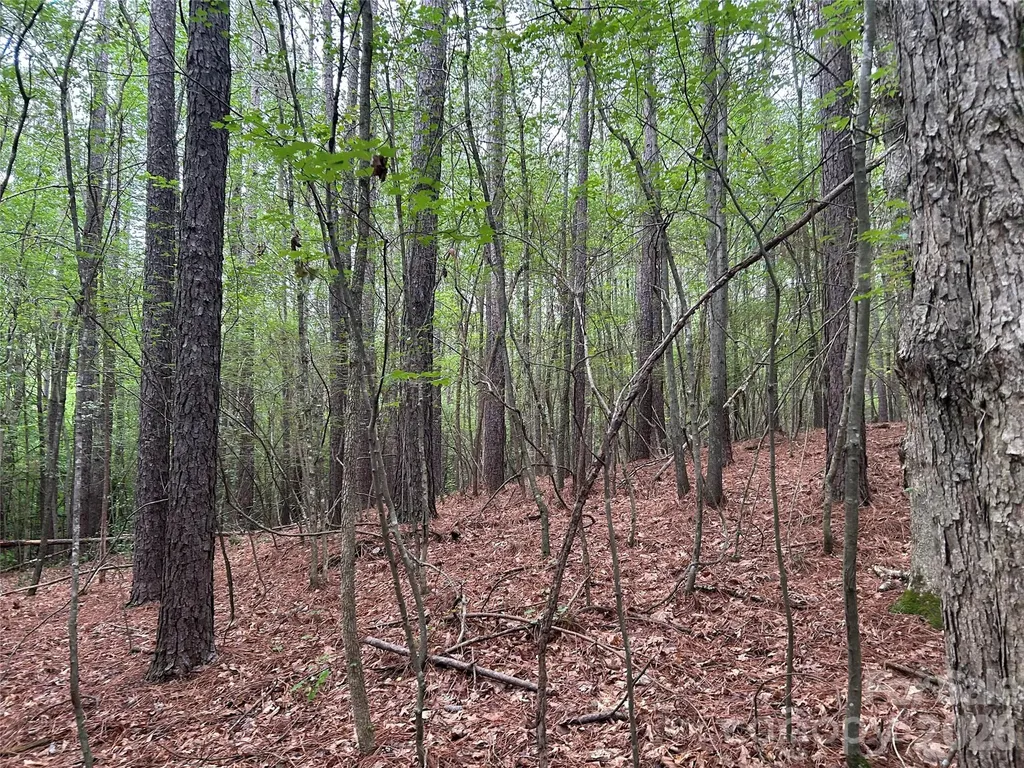 3909 Wightman Church Road Polkton NC 28135