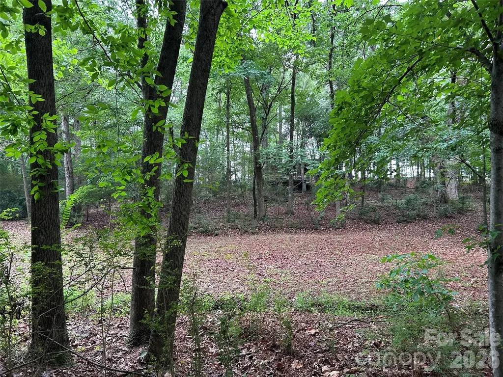 3909 Wightman Church Road Polkton NC 28135