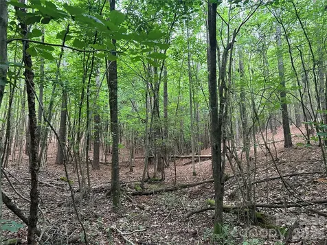 3909 Wightman Church Road Polkton NC 28135