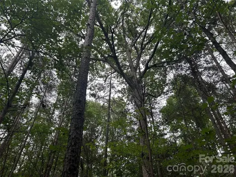 3909 Wightman Church Road Polkton NC 28135
