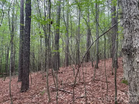 3909 Wightman Church Road Polkton NC 28135