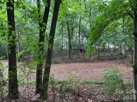3909 Wightman Church Road Polkton NC 28135