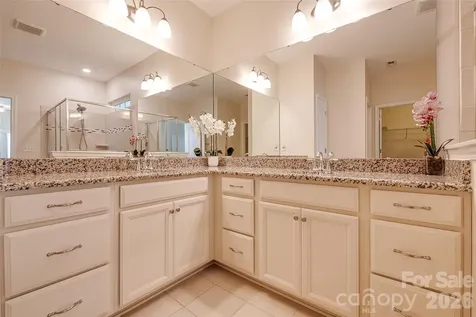 11027 Wrigley Mansion Drive Charlotte NC 28273