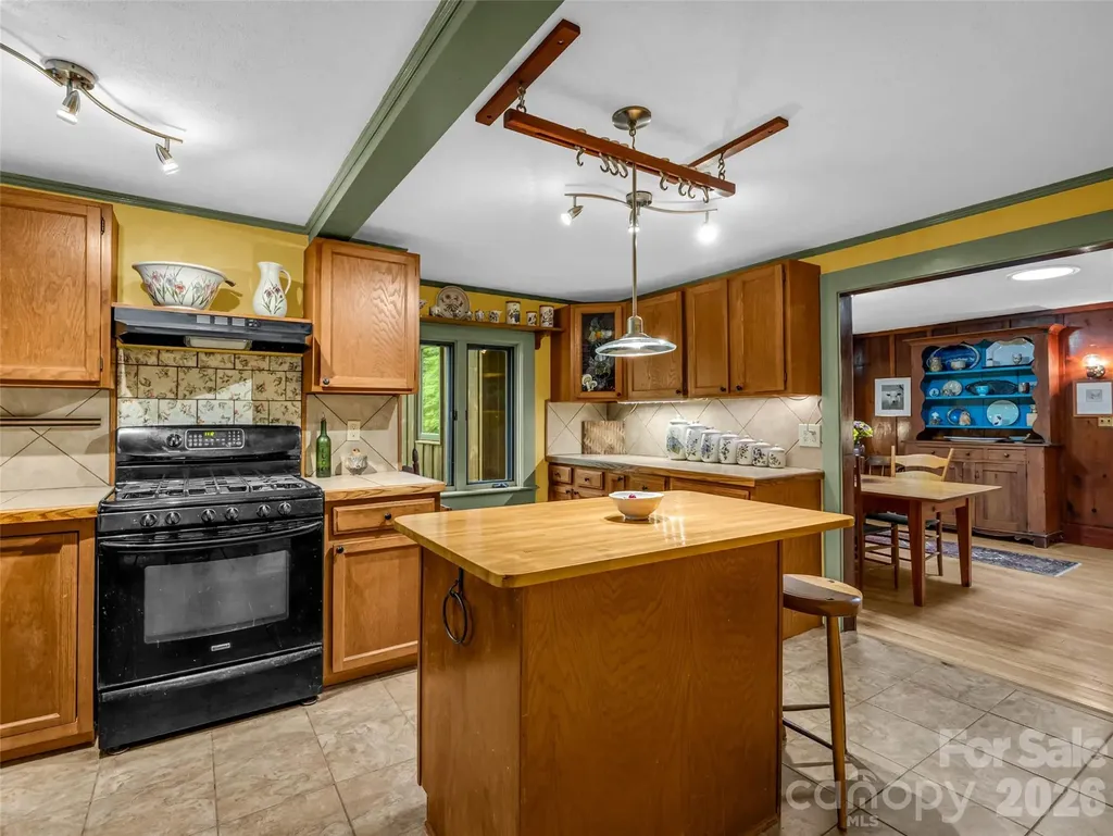 2212 Green River Road Zirconia NC 28790