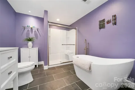 72 Tludatsi Court Brevard NC 28712