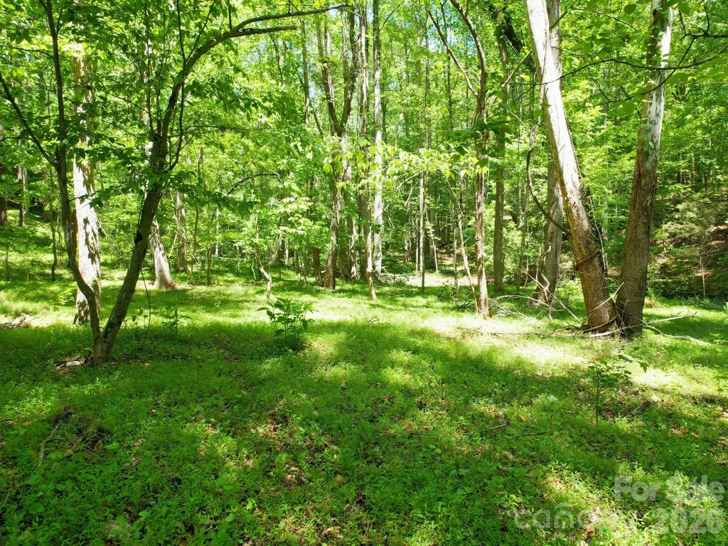Tbd Beechwood Road Mooresboro NC 28114