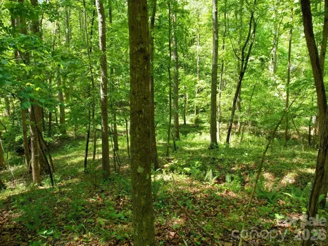 Tbd Beechwood Road Mooresboro NC 28114