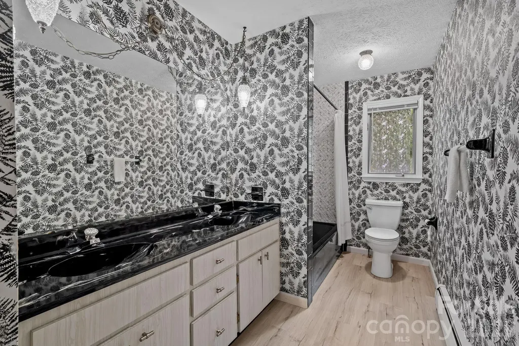 11 Grenadier Court Candler NC 28715
