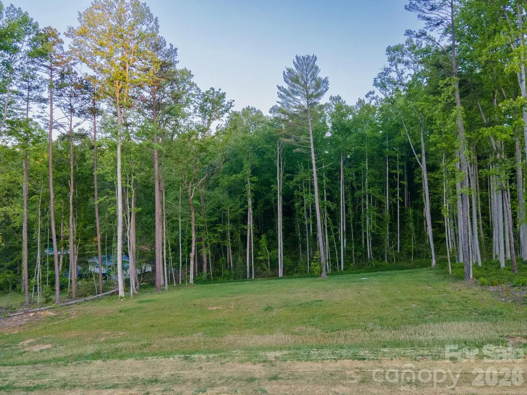 424 Irvine Drive Fairview NC 28730