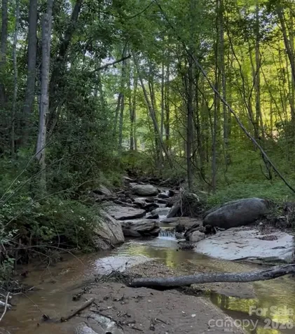 Tbd Lot 4 Rush Creek Road Black Mountain NC 28711