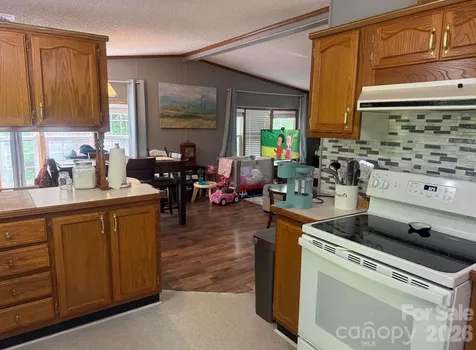 811 Turkey Pen Gap Road Horse Shoe NC 28742