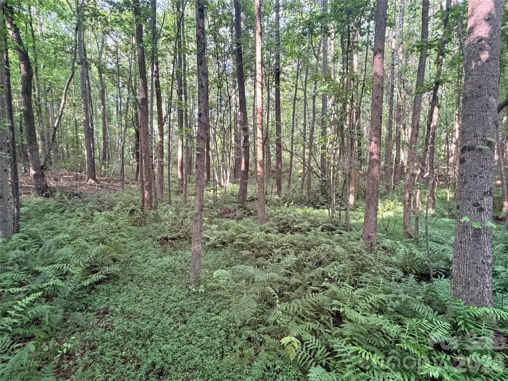 Lot 3 Schenck Farm Road Lawndale NC 28090