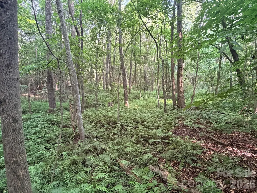 Lot 3 Schenck Farm Road Lawndale NC 28090