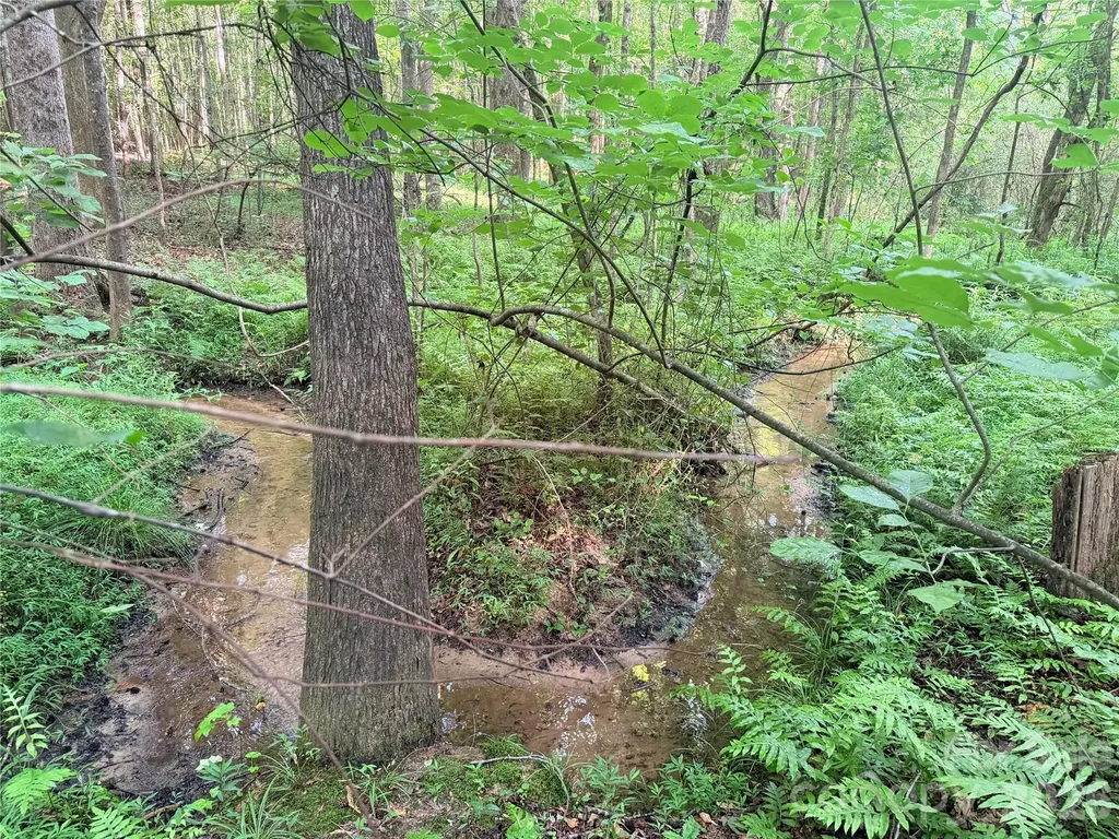 Lot 3 Schenck Farm Road Lawndale NC 28090