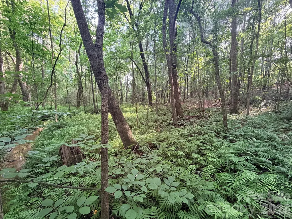 Lot 3 Schenck Farm Road Lawndale NC 28090