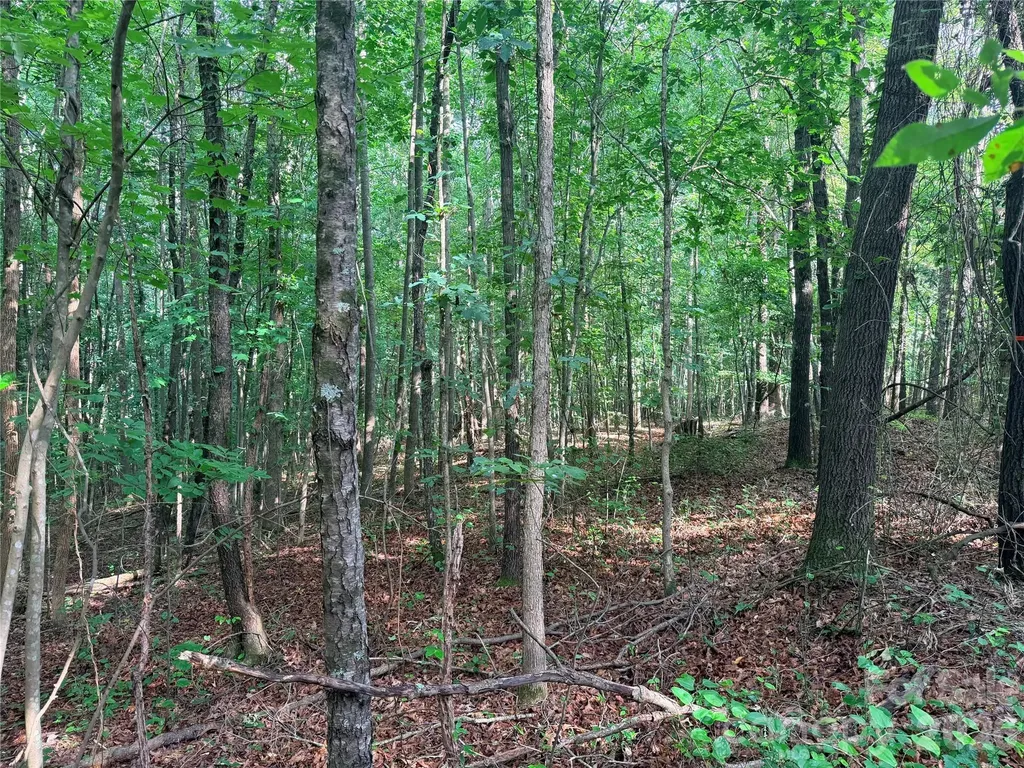 Lot 3 Schenck Farm Road Lawndale NC 28090