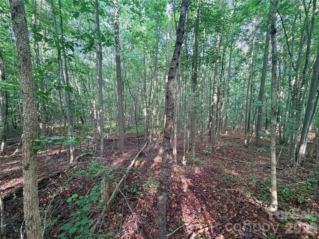 Lot 3 Schenck Farm Road Lawndale NC 28090