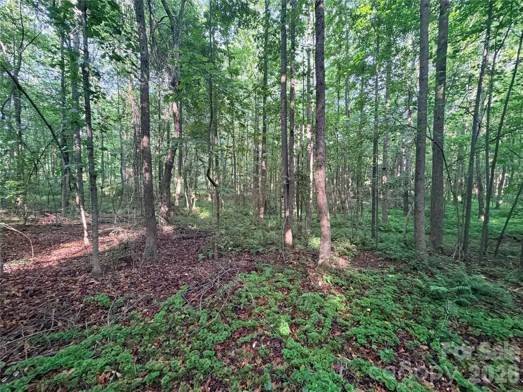 Lot 3 Schenck Farm Road Lawndale NC 28090