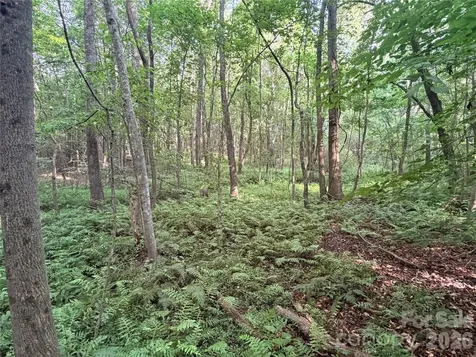 Lot 3 Schenck Farm Road Lawndale NC 28090