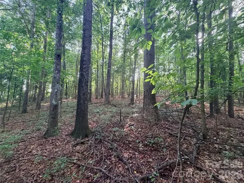 Lot 3 Schenck Farm Road Lawndale NC 28090