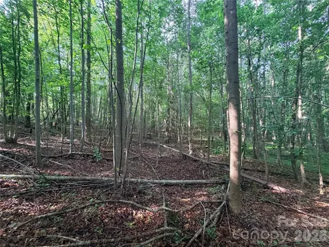 Lot 3 Schenck Farm Road Lawndale NC 28090