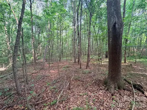 Lot 3 Schenck Farm Road Lawndale NC 28090