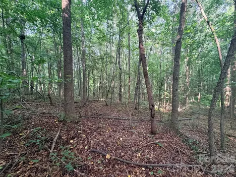 Lot 3 Schenck Farm Road Lawndale NC 28090