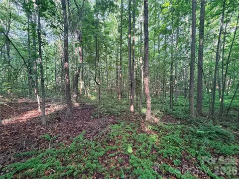 Lot 3 Schenck Farm Road Lawndale NC 28090