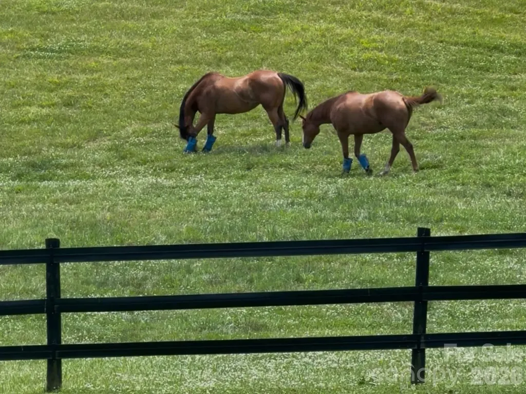 256 Johnson Dairy Road Mooresville NC 28115