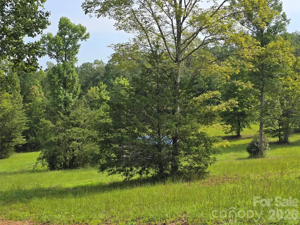 1696 County Line Road Rutherfordton NC 28139