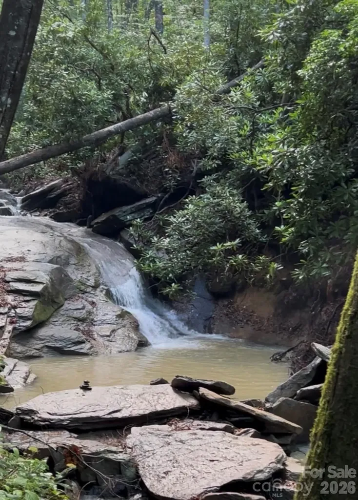 204 Rush Creek Road Black Mountain NC 28711