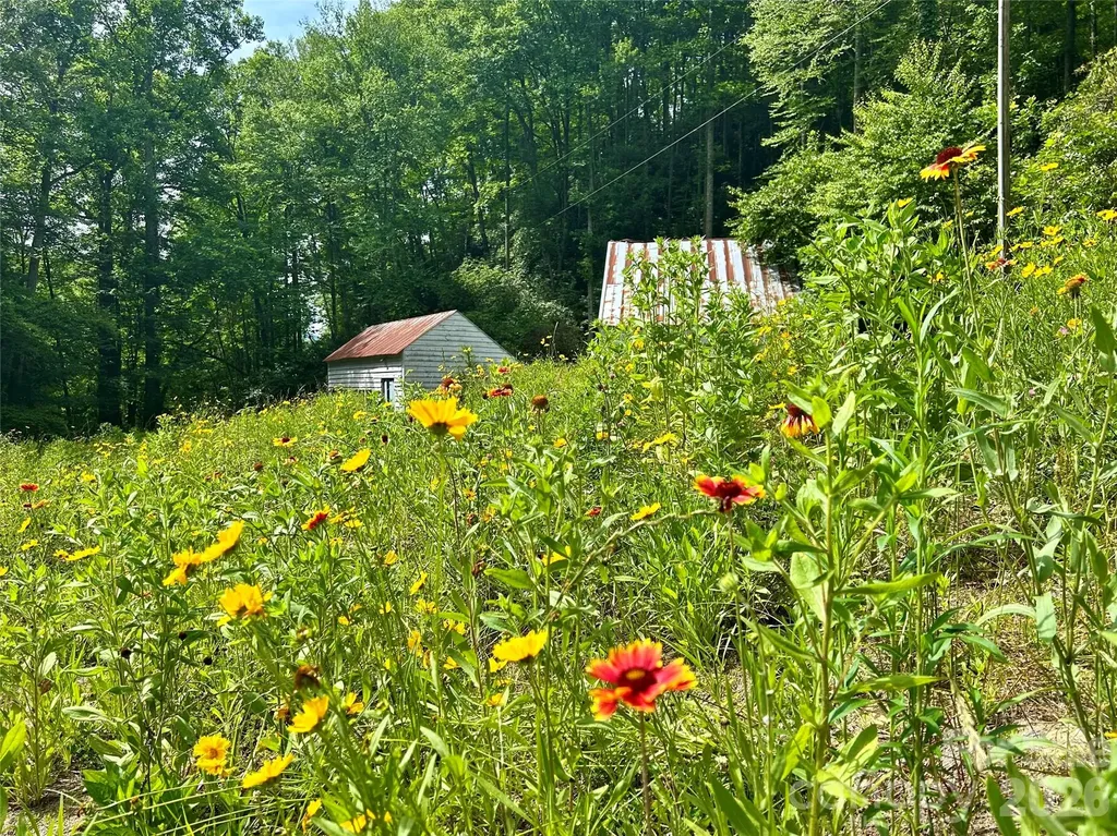 204 Rush Creek Road Black Mountain NC 28711