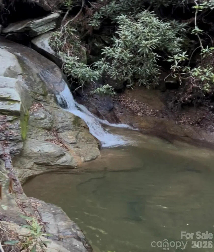 204 Rush Creek Road Black Mountain NC 28711