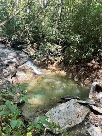 204 Rush Creek Road Black Mountain NC 28711